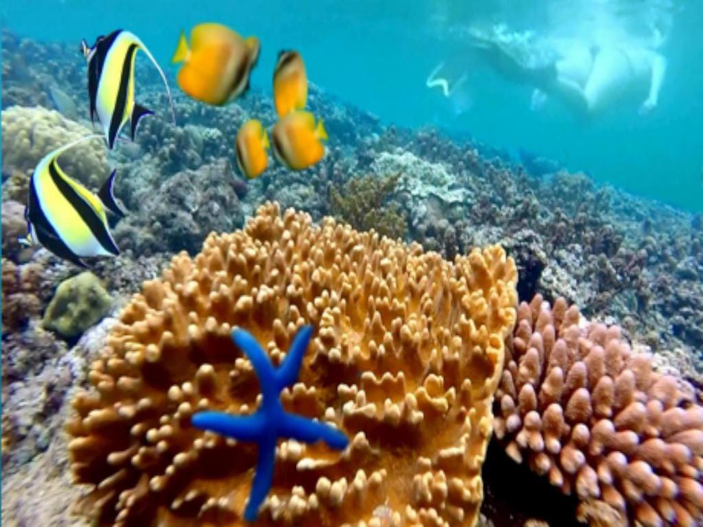 Tulamben Wreck Divers Resort & Restaurant מראה חיצוני תמונה