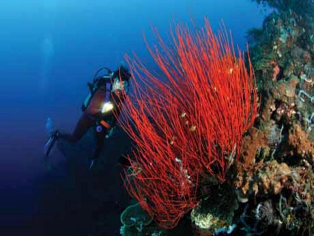 Tulamben Wreck Divers Resort & Restaurant מראה חיצוני תמונה