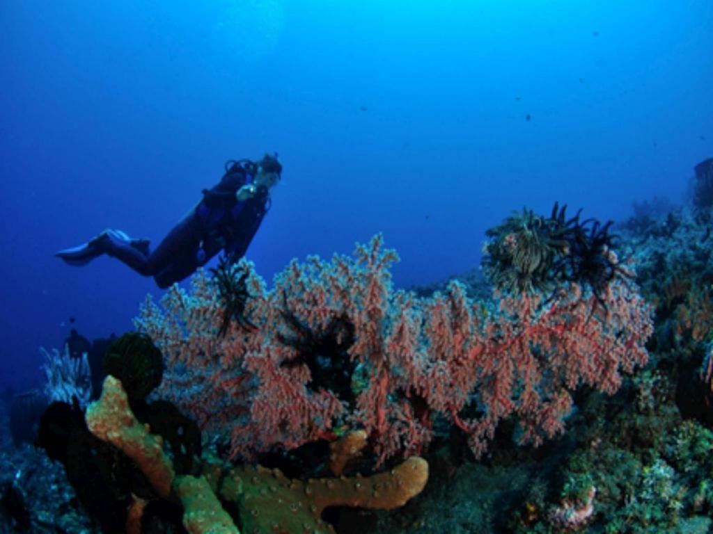 Tulamben Wreck Divers Resort & Restaurant מראה חיצוני תמונה