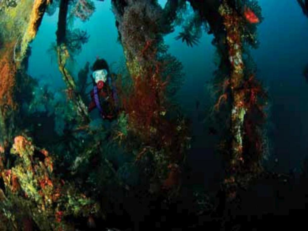 Tulamben Wreck Divers Resort & Restaurant מראה חיצוני תמונה