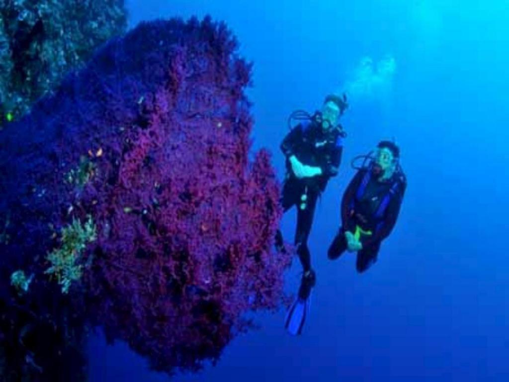 Tulamben Wreck Divers Resort & Restaurant מראה חיצוני תמונה